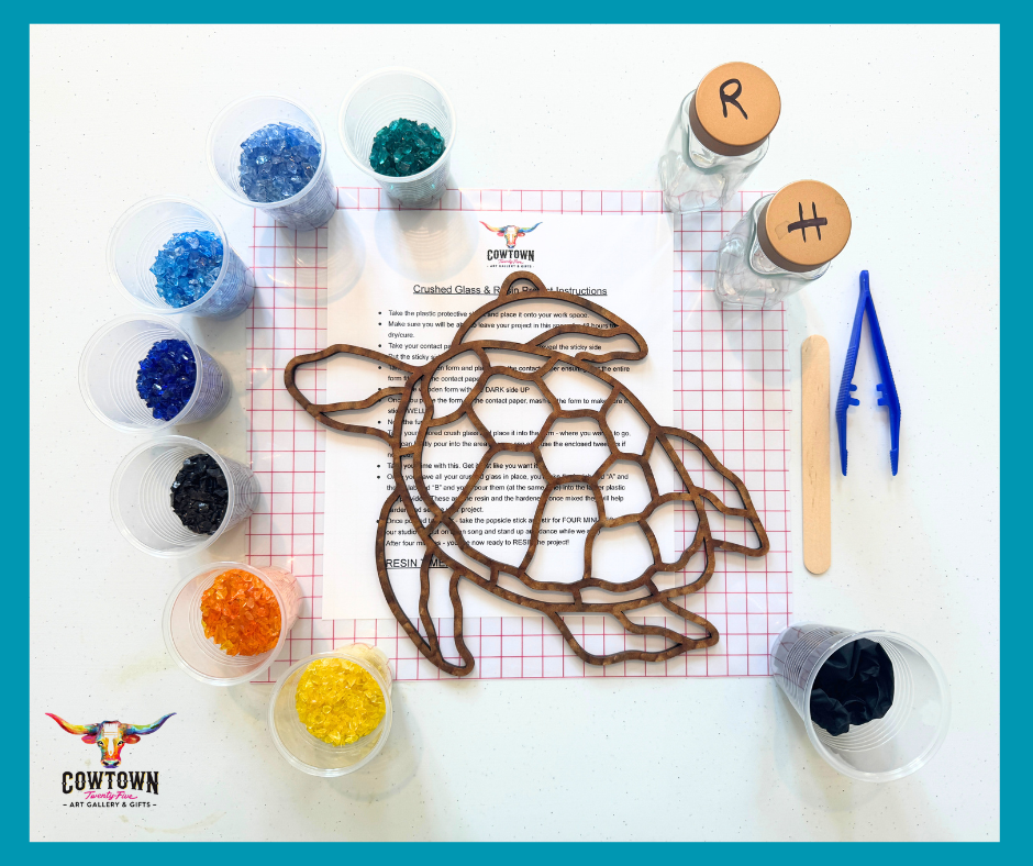 Turtle DIY Home Art Experience Kit