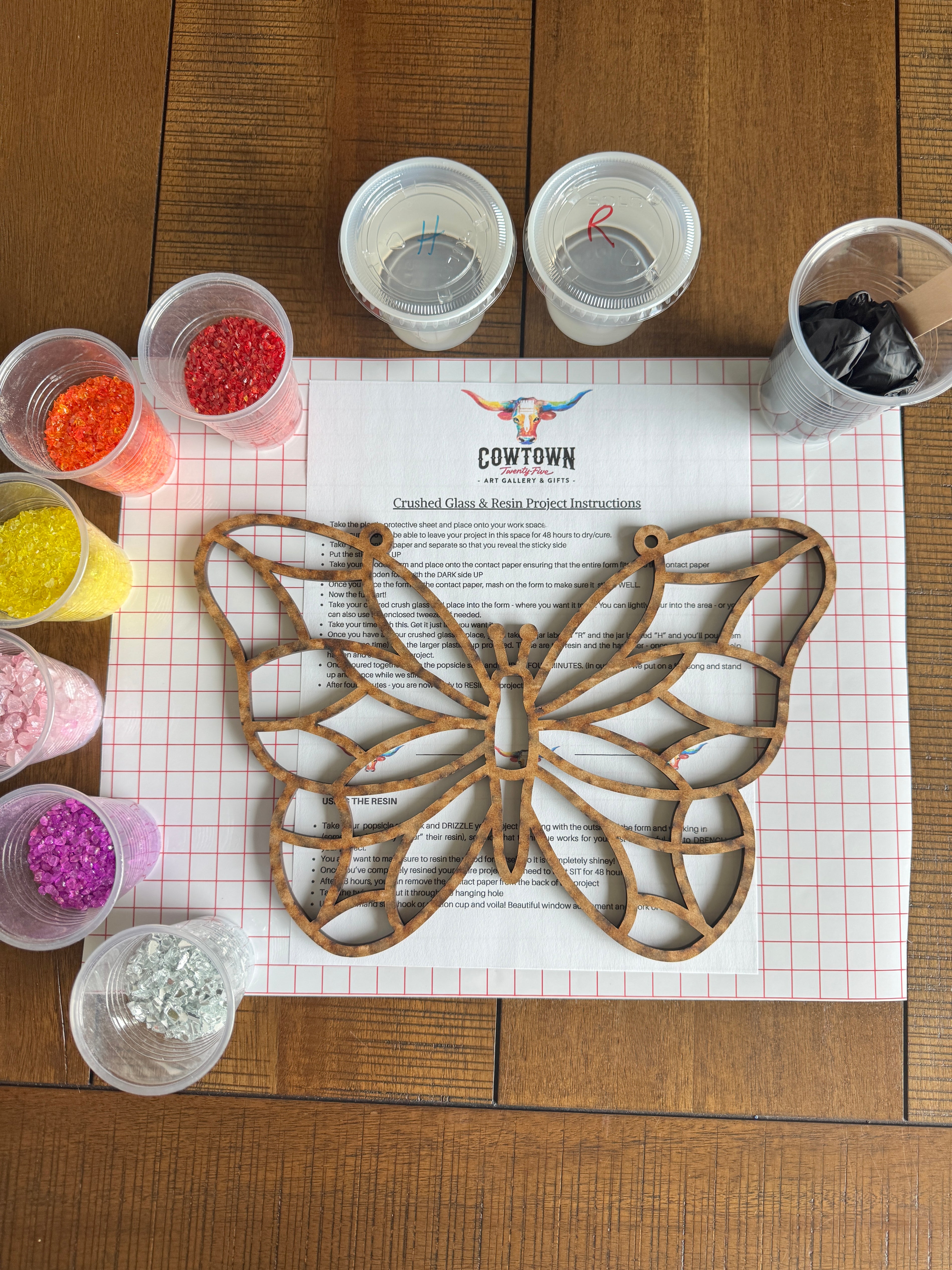 Butterfly DIY Art Experience Kit